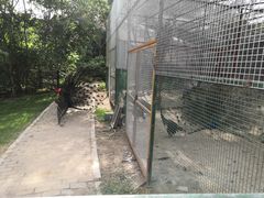 -沈阳鸟岛