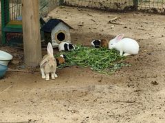 -三亚海棠湾万丽度假酒店