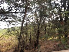 -北海金海湾红树林生态旅游区