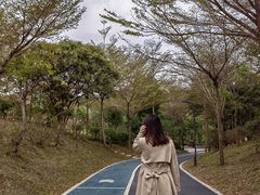 -聚龙山公园