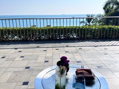 -日落吧·海景咖啡厅·餐酒吧·鸡尾酒·下午茶·乐队表演·浪漫夕阳·三亚文华东方酒店