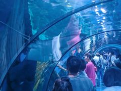 -台州海洋世界