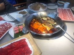 -渝大龙重庆火锅(温泉月亮湾店)