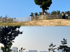 -小麦岛公园
