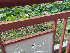 -荔湾湖公园