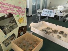 -房山世界地质公园博物馆
