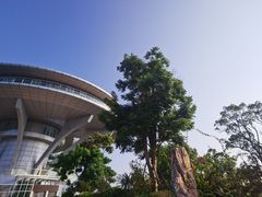 -神光山国家森林公园