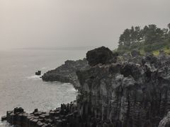 -涉地可支