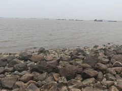 -吴淞炮台湾湿地森林公园烧烤区