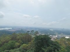 -水濂山森林公园