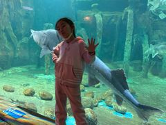 -华夏文旅海洋公园