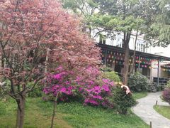-阳光山水江湖菜馆(西山龙门店)