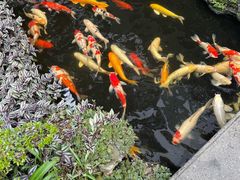 -聚福宝合苑食府(南头镇店)