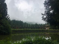 -武陵山森林公园