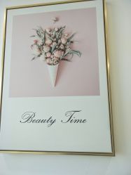 装饰-Yukina Plus专业日式美肌