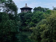 -八大山人梅湖景区