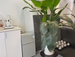 -春田皮肤管理中心品牌旗舰店
