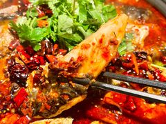 -师烤·豆花烤鱼(广州荔湾扬韬广场店)