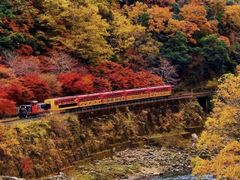 -岚山嵯峨野观光小火车