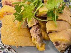 三黄鸡-九斤黄三黄鸡专卖店