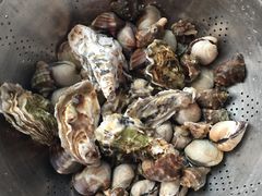 -船梆煮•蒸汽海鲜·炉火烤肉(五四广场店)