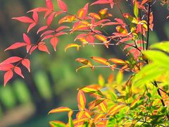 -滨湖塘西河公园