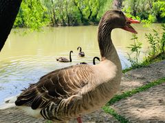 -长兴太湖图影湿地文化园