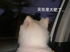 -老安火盆烤肉(金寨路店)