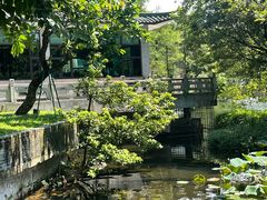 -荔湾湖公园