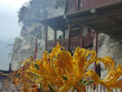 -东南悬空寺方广岩