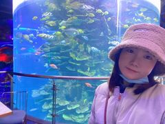 -泉城欧乐堡海洋极地世界