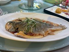 -御花园大酒店(海东路店)