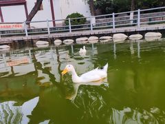 -莲湖公园