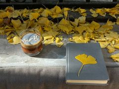 -大小咖啡 BigSmallCoffee(麦子店)