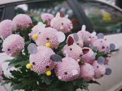 -Flower in(密渡桥店)