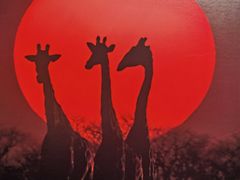 -罗红摄影艺术馆