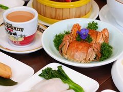 -香港狮子山下·明星粤菜餐厅(北苑店)