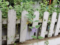 -凤凰御元艺术基地