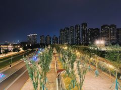 -南京眼步行桥