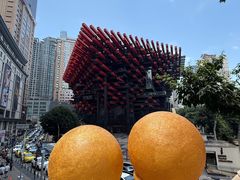 -杨记隆府(重庆总店)