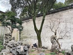-留园