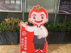 -海底捞火锅(龙岗星河COCO Park店)