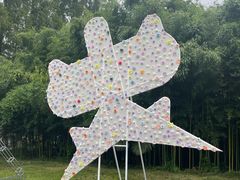 -黄海国家森林公园