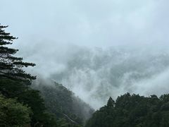 -九华山风景区