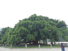 -生态苑农庄(十里画廊遇龙河店)