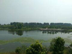 -东郊湿地公园