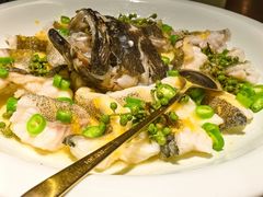 -CHIC1699远洋私厨