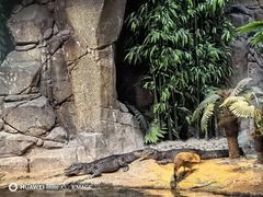 -上海海洋水族馆