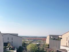 -上海崇明金茂凯悦酒店