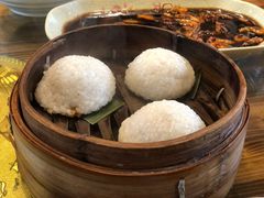 茨毛圆子-双塔老饭店